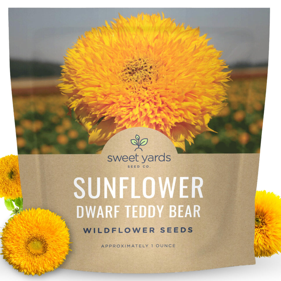 Sweet Yards Dwarf Teddy Bear seed packet ready for planting in beds or containers.