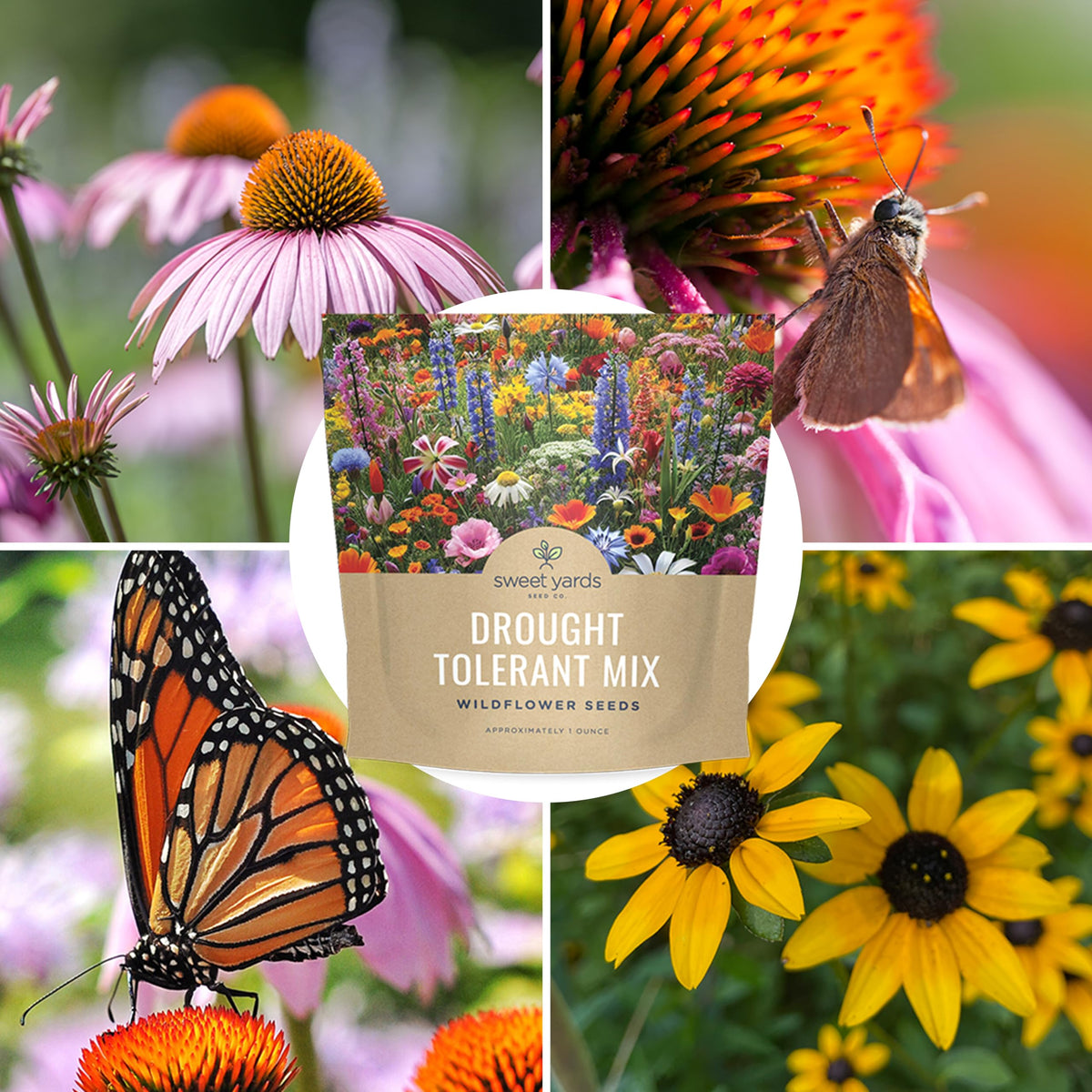 Sweet Yards field bloom setup with wildflowers for a natural look.