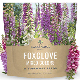 Sweet Yards foxglove mixed colors seeds for vibrant blooms and pollinator-friendly borders.