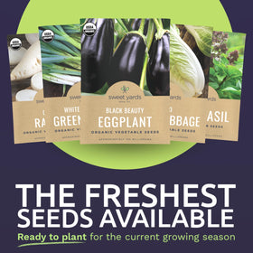 Sweet Yards fresh seeds 2026 season visually convey high germination potential.