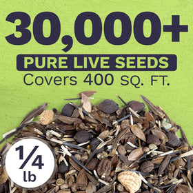 SWEET YARDS fresh seeds suggesting high germination potential