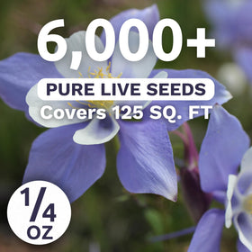 Sweet Yards fresh seeds flag with high germination potential for reliable blooms