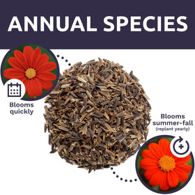 Sweet Yards fresh seeds offer high germination potential for reliable sowing.