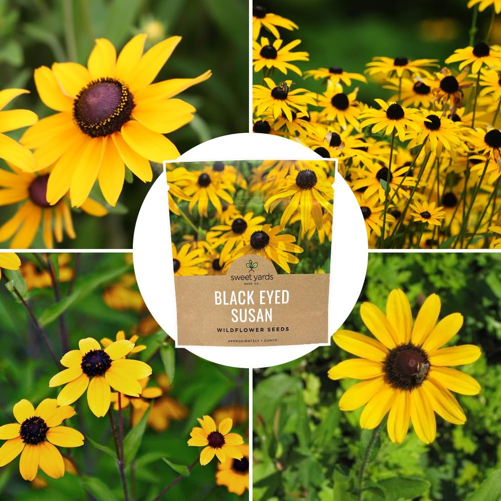Sweet Yards garden-ready seeds perfect for gifting and home planting