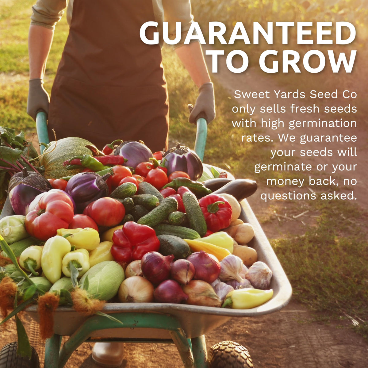 Sweet Yards Germination guarantee card supports confident planting decisions.