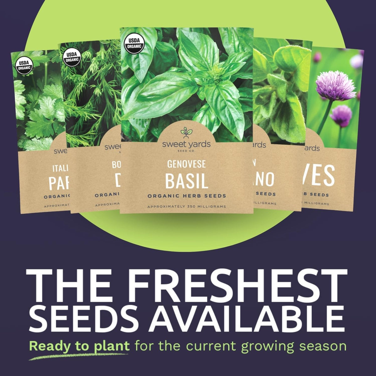 Sweet Yards germination tray reveals seeds sprouting for a thriving start.
