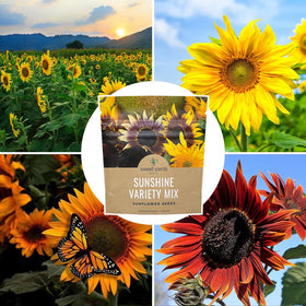Sweet Yards gift-ready seed packaging ideal for seed swaps and gifting.