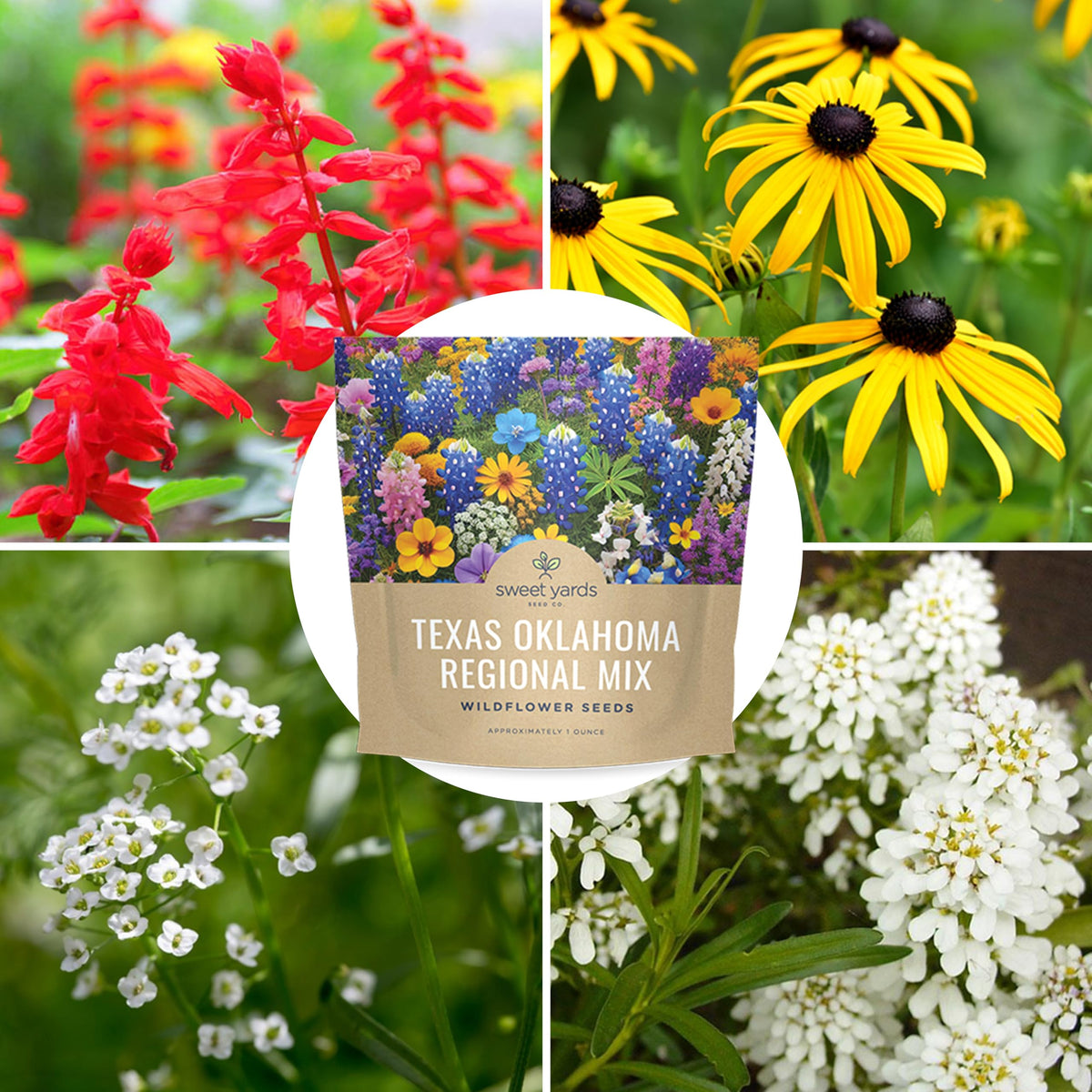 Sweet Yards gift-ready seed packet for garden lovers