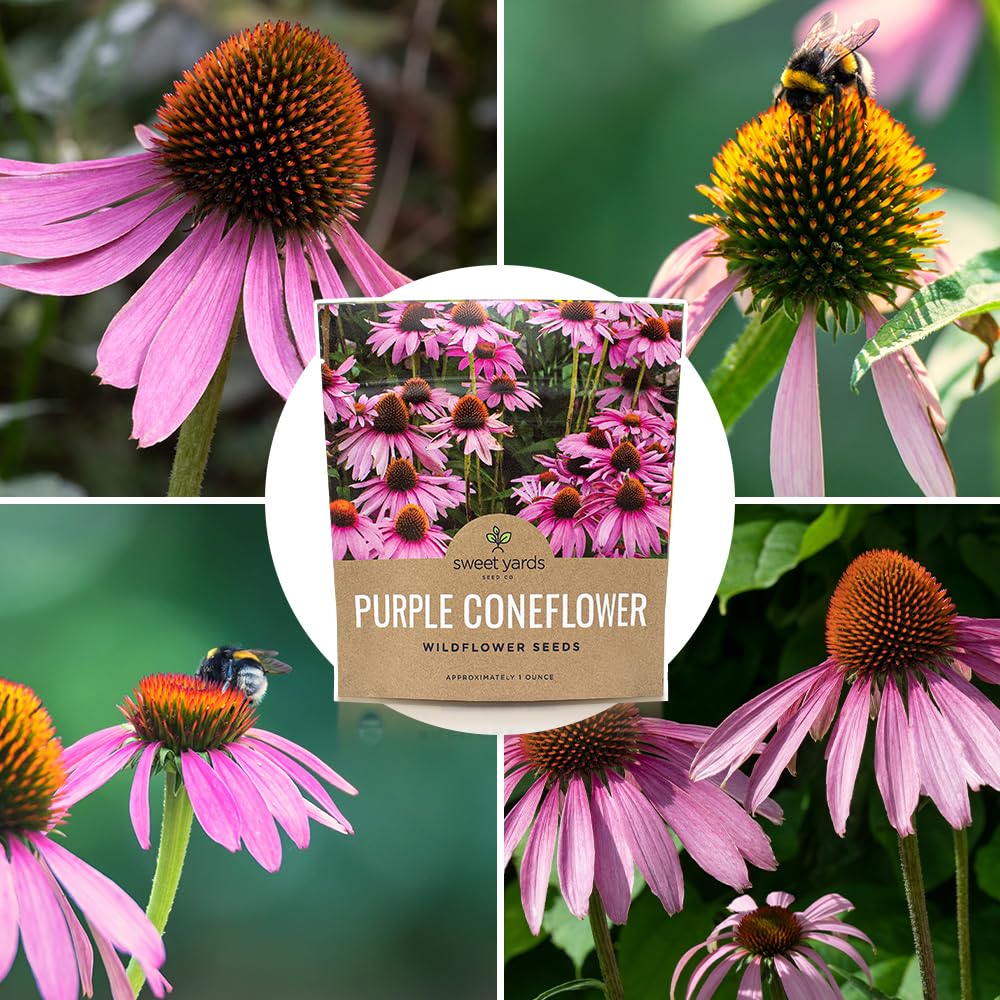 Gift-ready SWEET YARDS seed packaging shown for thoughtful gardening gifts.