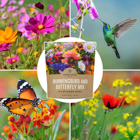 Sweet Yards gift-ready seed packet for nature-loving friends.