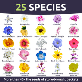 Sweet Yards Pacific Northwest Mix seeds deliver strong germination for thriving pollinator gardens.