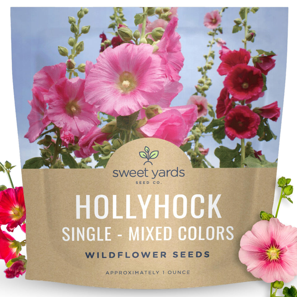 Sweet Yards hollyhock single mixed colors seeds 1oz packet ready to sow for cottage gardens.