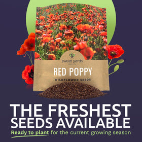 Sweet Yards large 1-ounce seed packet with high germination potential.