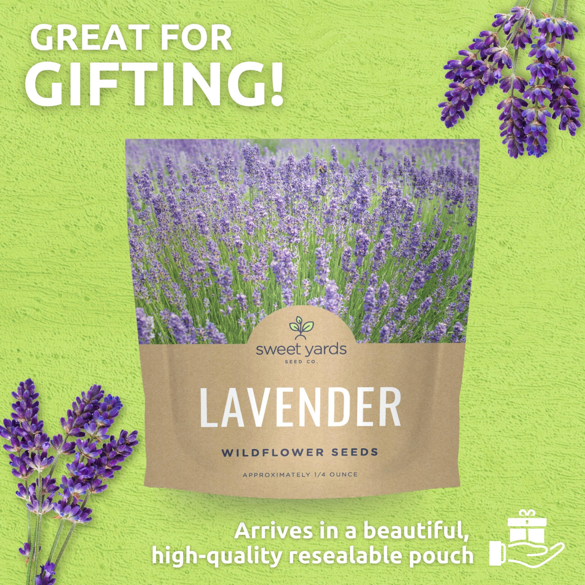 Sweet Yards lavender thrives in sunlit pots or garden beds
