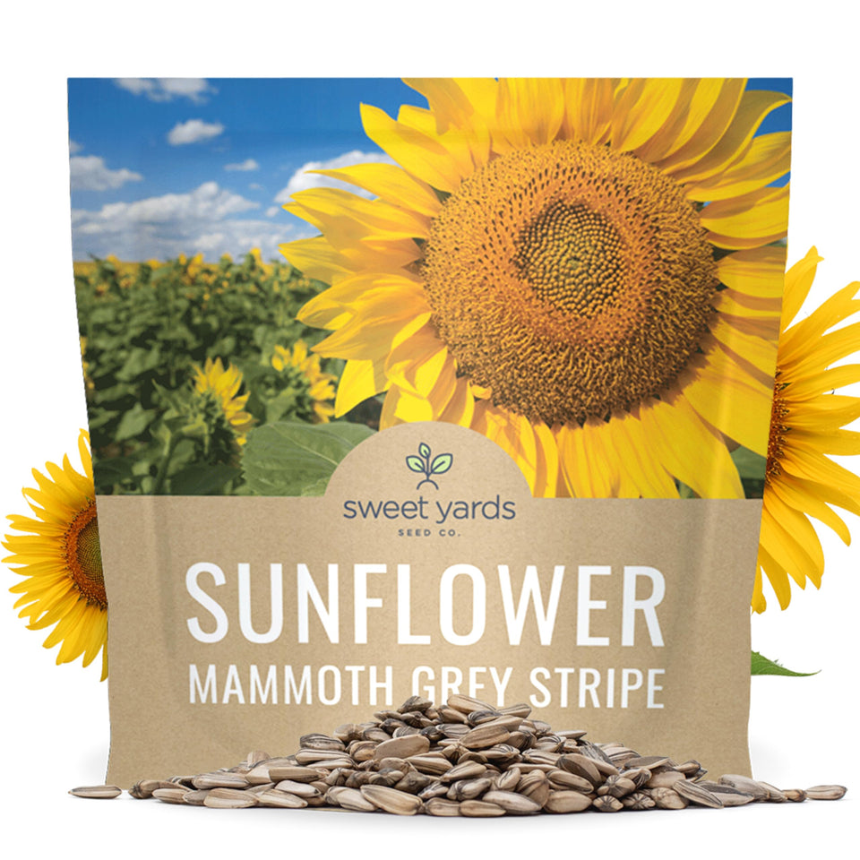 Sweet Yards Mammoth Grey Stripe seeds packet front for easy storage and gifting