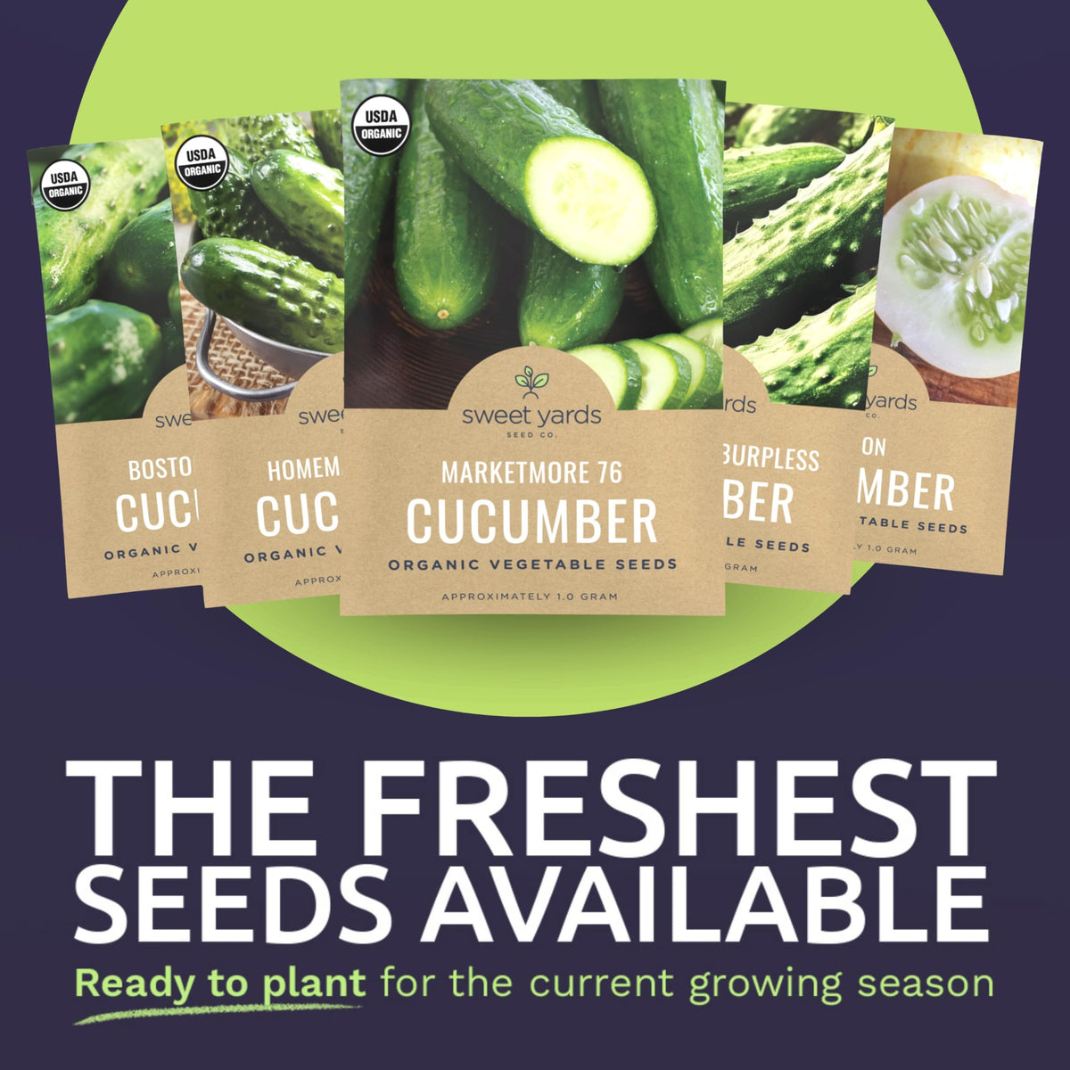 Sweet Yards Marketmore 76 cucumber seed enables reliable slicing harvest
