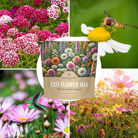 Sweet Yards meadow border seed mix ideas for garden planning