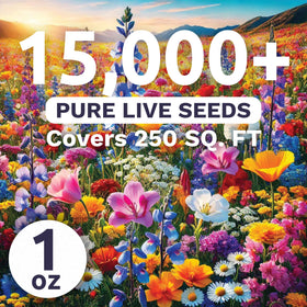 Sweet Yards Midwest Regional Mix seeds closeup – ready-to-plant mix for quick color