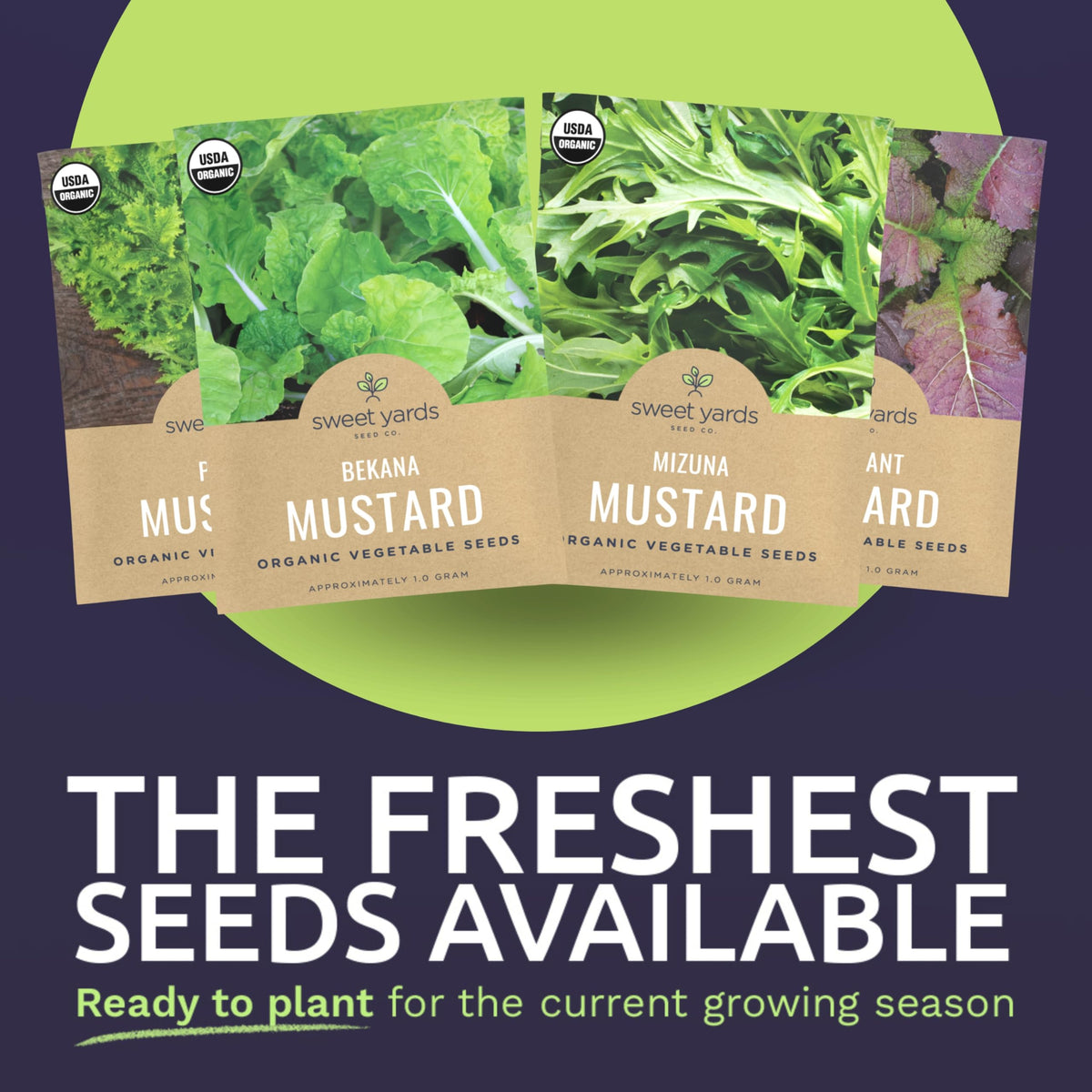 Sweet Yards Mizuna mustard seeds packet for mild, tender greens