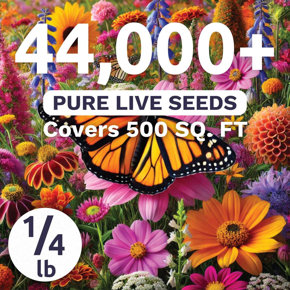 Sweet Yards Monarch Butterfly Rescue Mix garden setup—monarch habitat creation and colorful blooms.