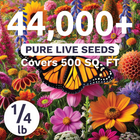 Sweet Yards Monarch Butterfly Rescue Mix garden setup—monarch habitat creation and colorful blooms.
