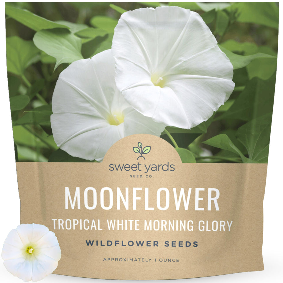 Sweet Yards Moonflower seed packet ready for planting in warm, sunny gardens.