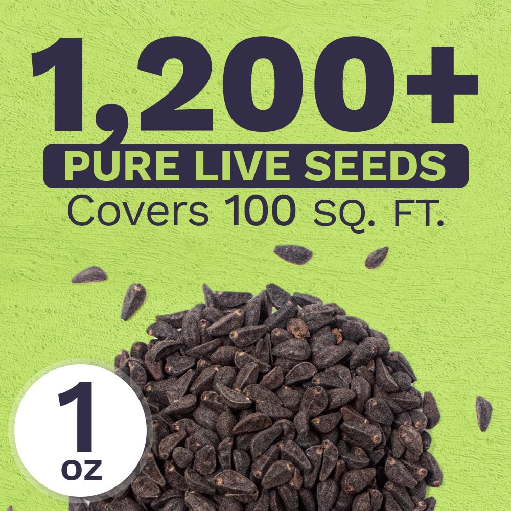 Sweet Yards over 1,000 seeds support large garden coverage.