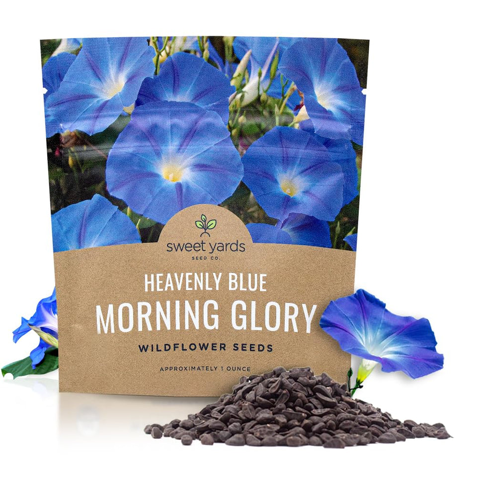 Sweet Yards Morning Glory Seeds Heavenly Blue packet front for vibrant summer blooms.