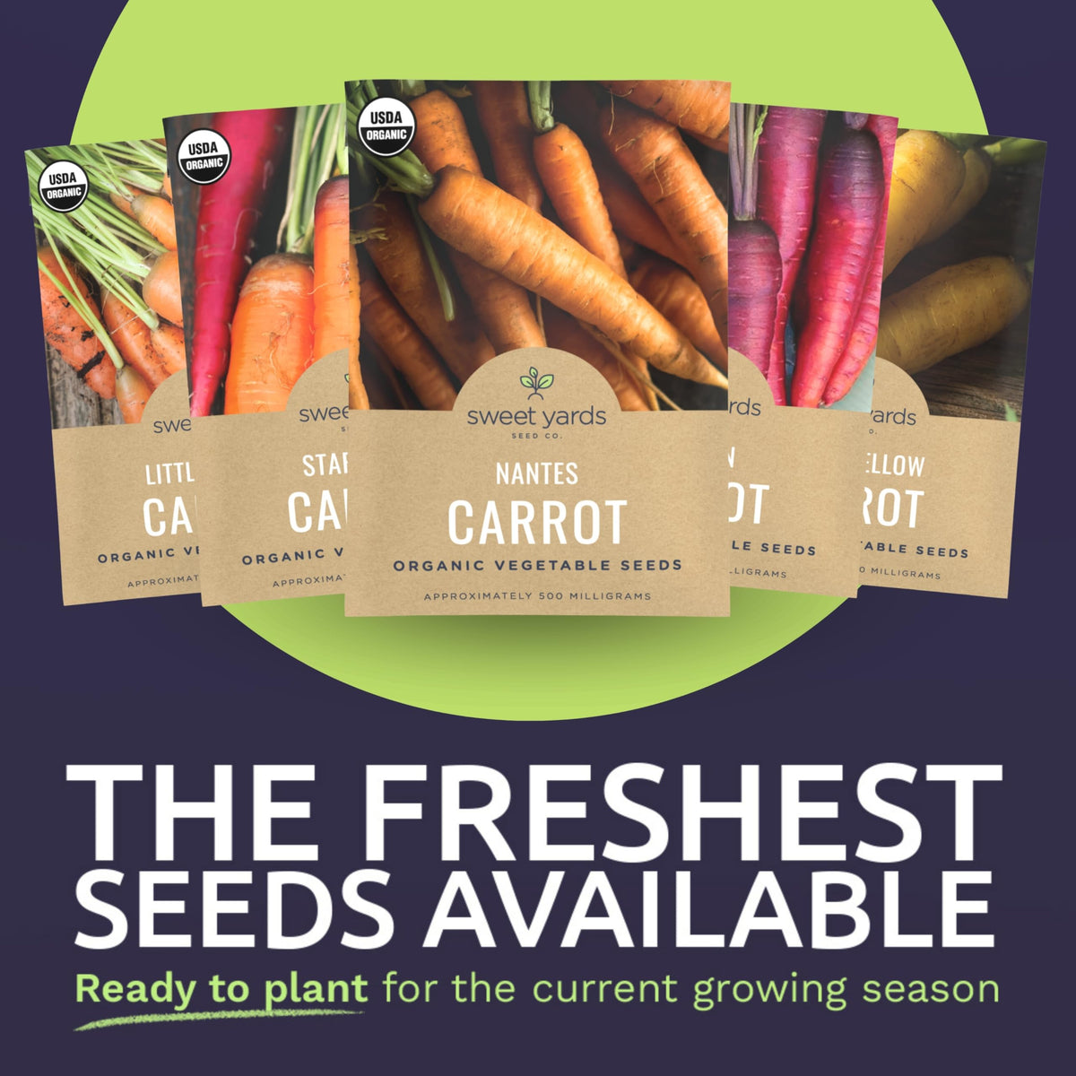 Sweet Yards Nantes carrot seed packet provides classic orange crunch for salads.