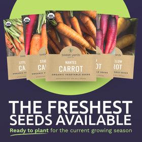 Sweet Yards Nantes carrot seed packet provides classic orange crunch for salads.