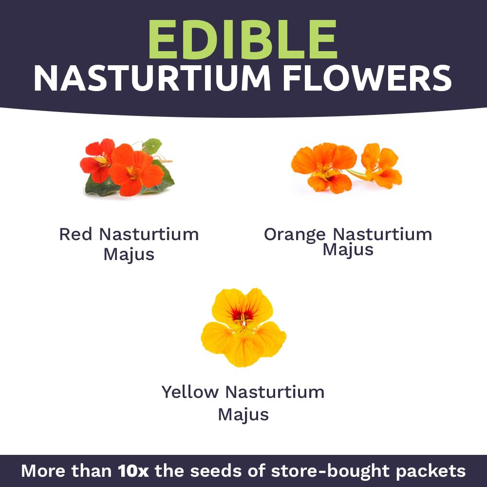 Edible nasturtium flowers from Sweet Yards ready for salads and garnishes.