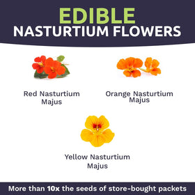 Edible nasturtium flowers from Sweet Yards ready for salads and garnishes.