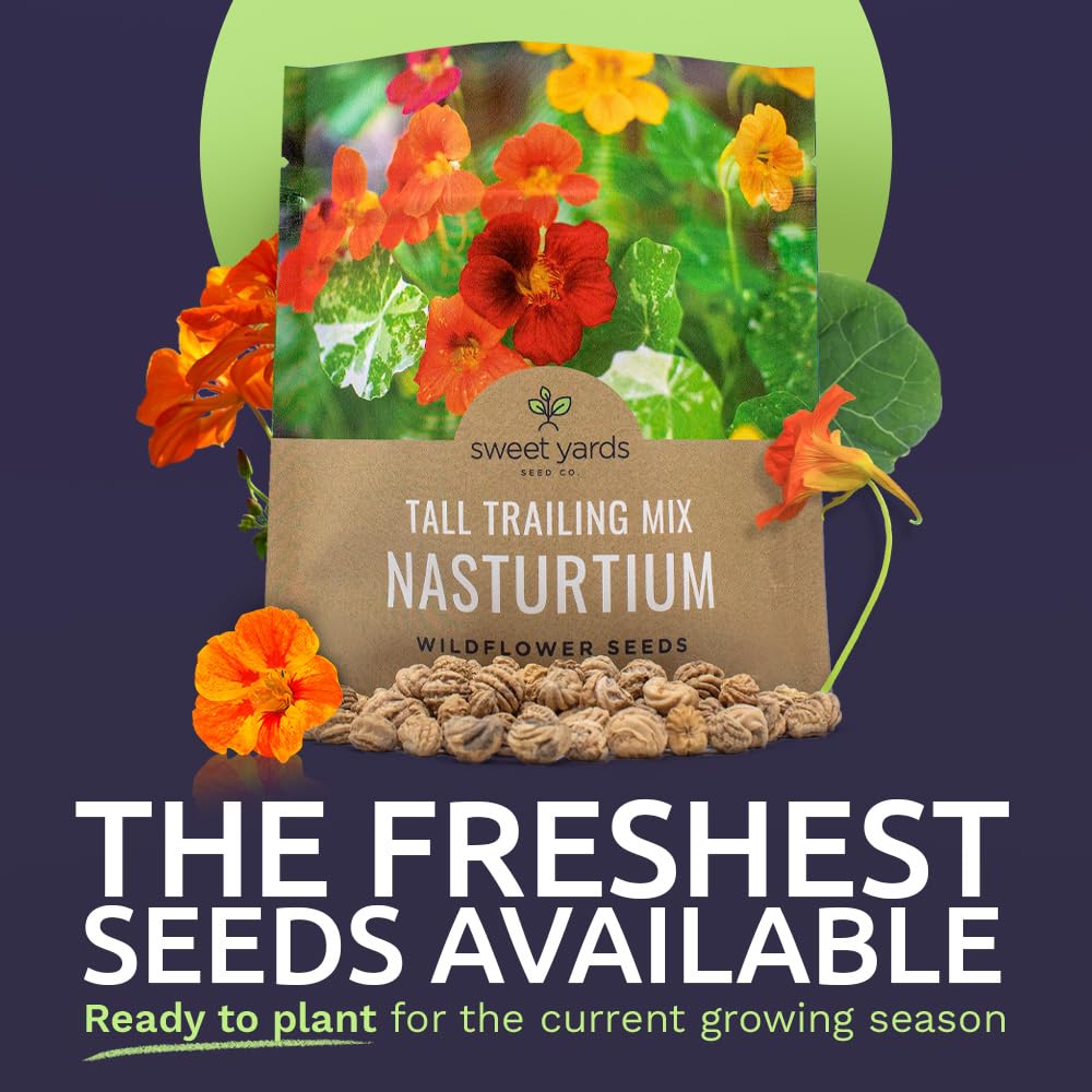 Sweet Yards Nasturtium seeds extra-large packet showing ample seed quantity.