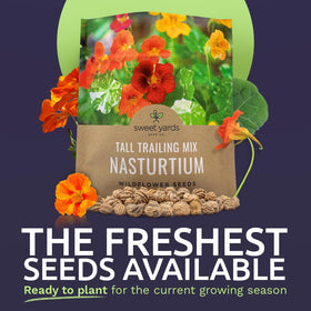 Sweet Yards Nasturtium seeds extra-large packet showing ample seed quantity.