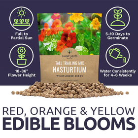 Premium packaging of Sweet Yards Nasturtium seeds with inside storage.