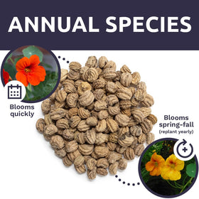 Clear planting instructions included with Sweet Yards Nasturtium seeds.