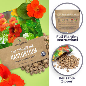 Pollinator-friendly nasturtiums from Sweet Yards attracting bees and butterflies.