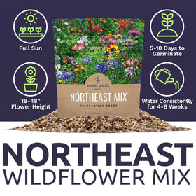 Sweet Yards native flowers varieties pack for regional biodiversity