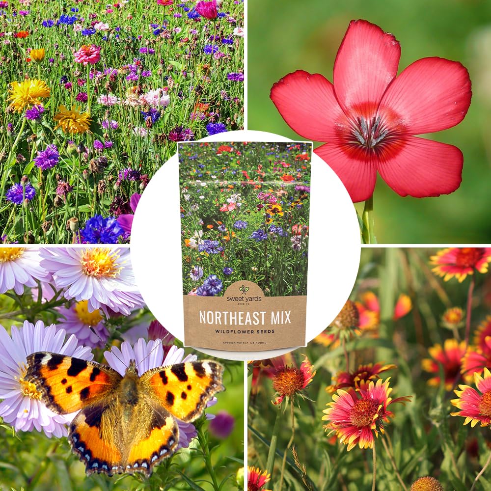 Sweet Yards native landscape seed mix creates resilient perennial beds.