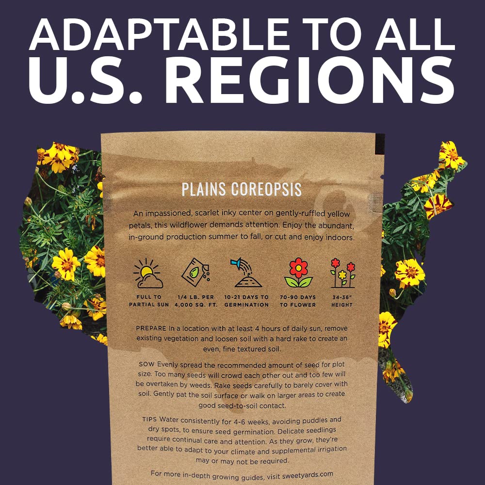 SWEET YARDS Native wildflowers assortment highlighting plains coreopsis in bloom