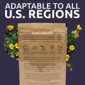 SWEET YARDS Native wildflowers assortment highlighting plains coreopsis in bloom
