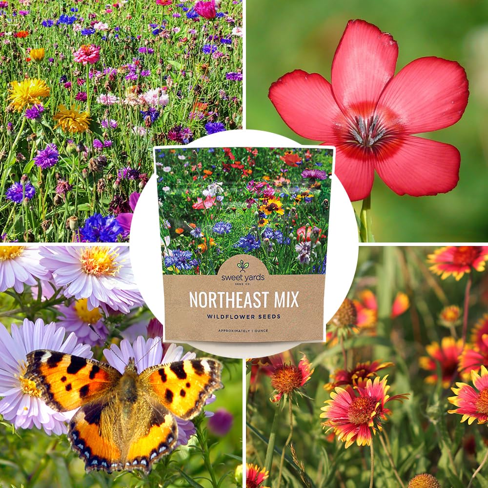 Northeast wildflower garden setup idea with Sweet Yards seeds