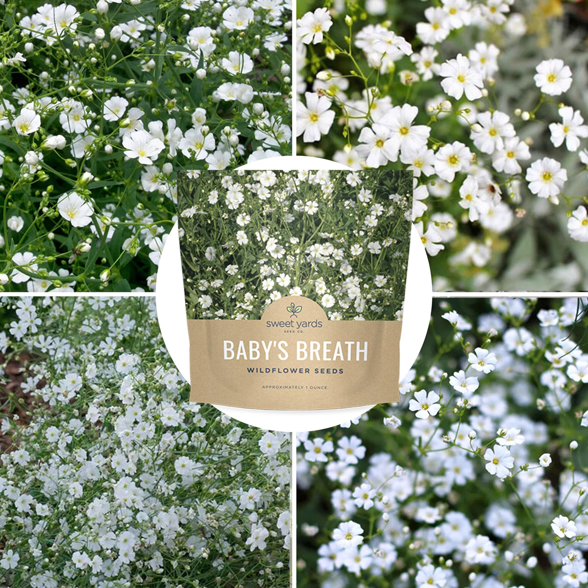 Sweet Yards Non-GMO open-pollinated wildflowers for borders.
