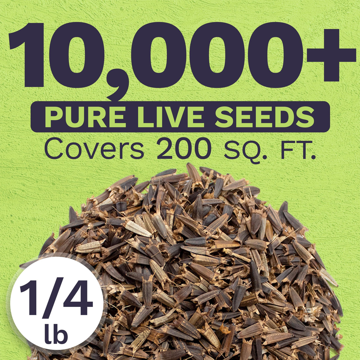 Sweet Yards non-GMO wildflower seeds boost pollinator habitats and garden color.