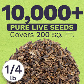 Sweet Yards non-GMO wildflower seeds boost pollinator habitats and garden color.