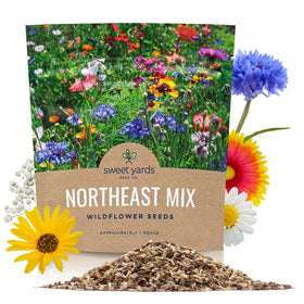 Sweet Yards Northeast wildflower seeds 1oz packet ideal for Northeast pollinator gardens