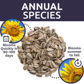 Sweet Yards open-pollinated non-GMO seeds for garden diversity