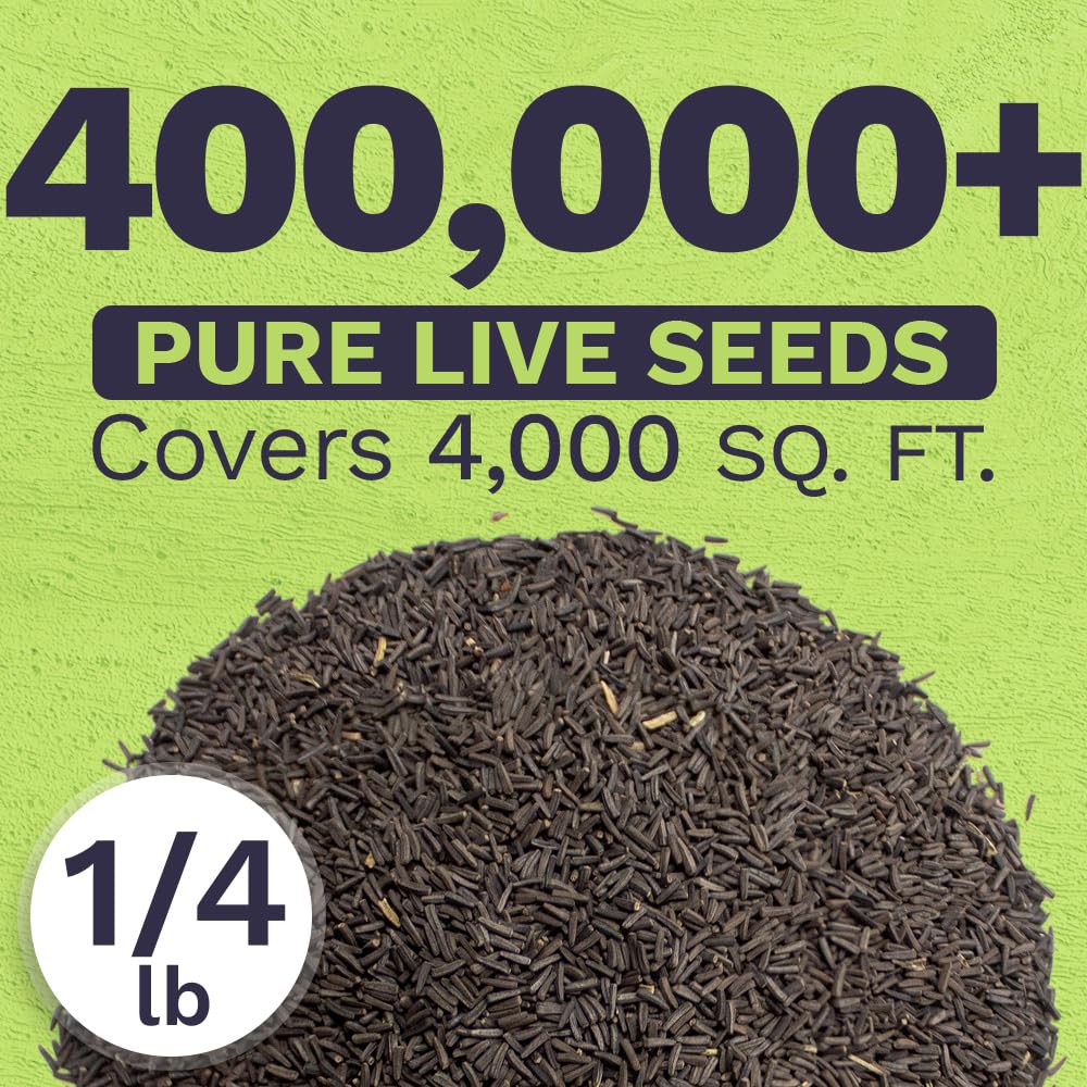SWEET YARDS Open-pollinated seeds 400k cover large areas with vibrant blooms