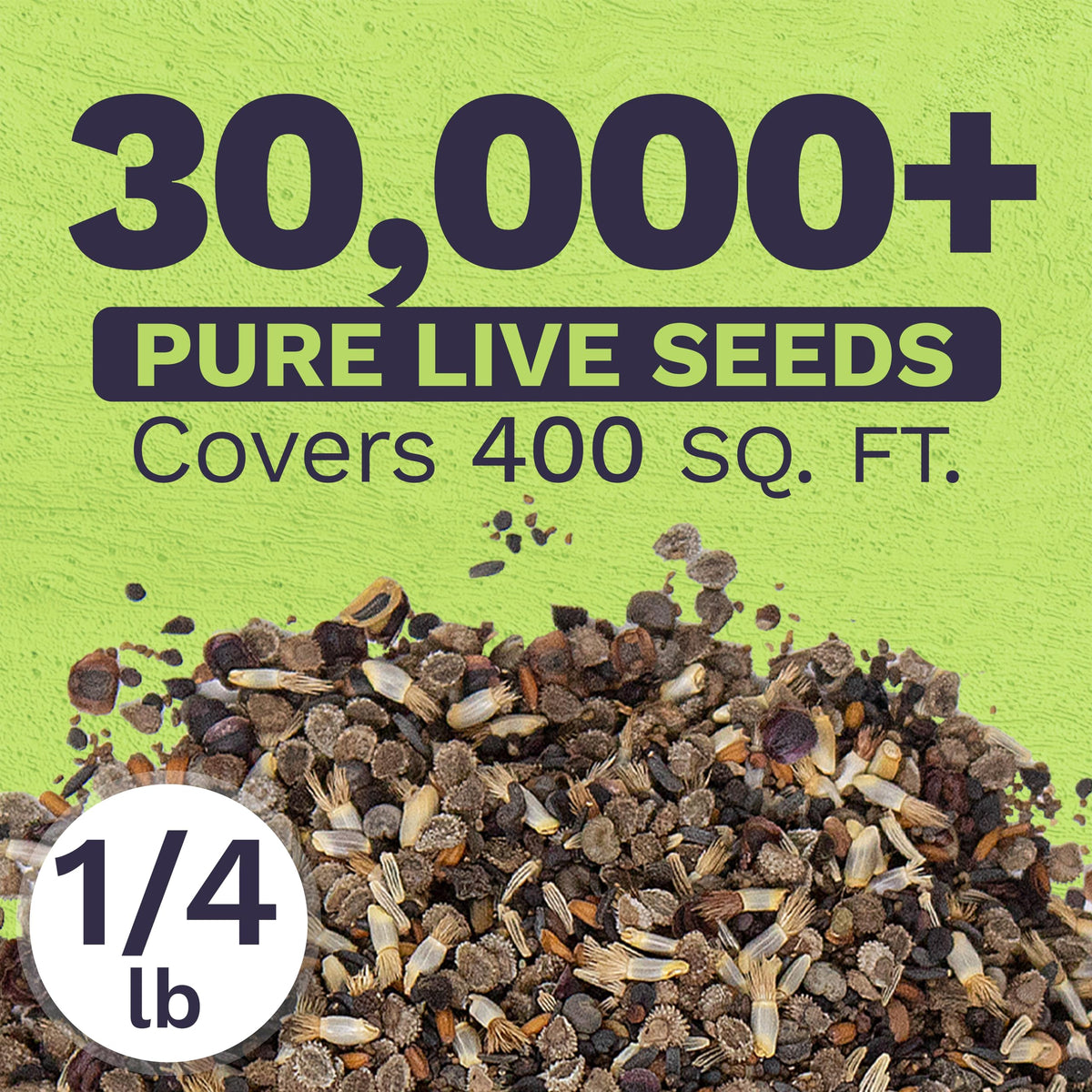 Sweet Yards open-pollinated seeds bundle ideal for creating DIY seed packets