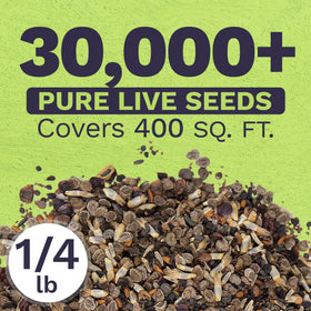 Sweet Yards open-pollinated seeds bundle ideal for creating DIY seed packets